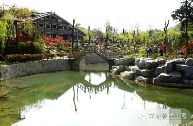 這個周末，隴南康縣花橋有大事要發(fā)生？