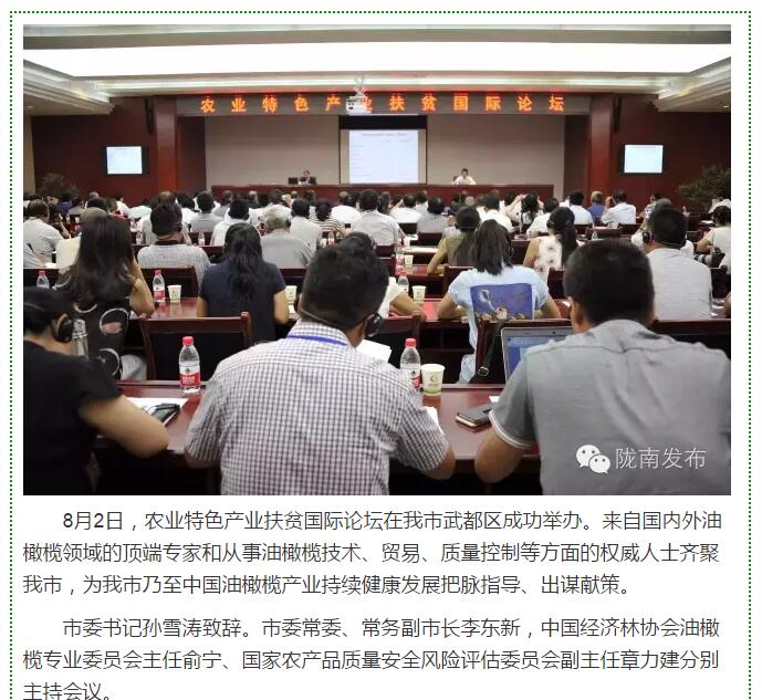 大腕齊聚農(nóng)業(yè)特色產(chǎn)業(yè)扶貧國際論壇，“把脈”隴南油橄欖發(fā)展