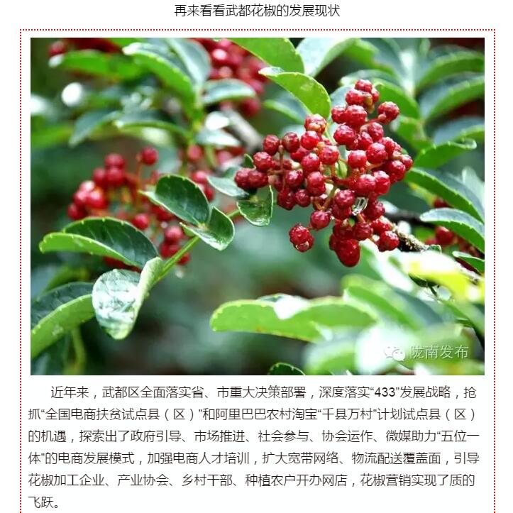 5.28億！一場盛會，武都花椒“火”了