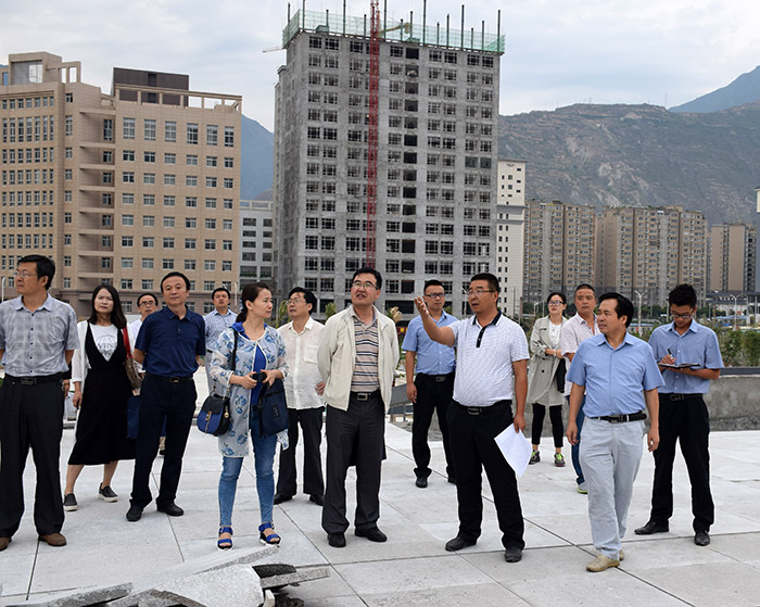 省、市聯(lián)合工作組蒞臨階州廣場檢查指導(dǎo)工作