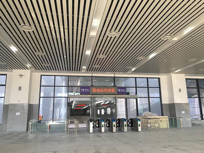 全國、省市政協(xié)委員體驗蘭渝鐵路、視察階州廣場