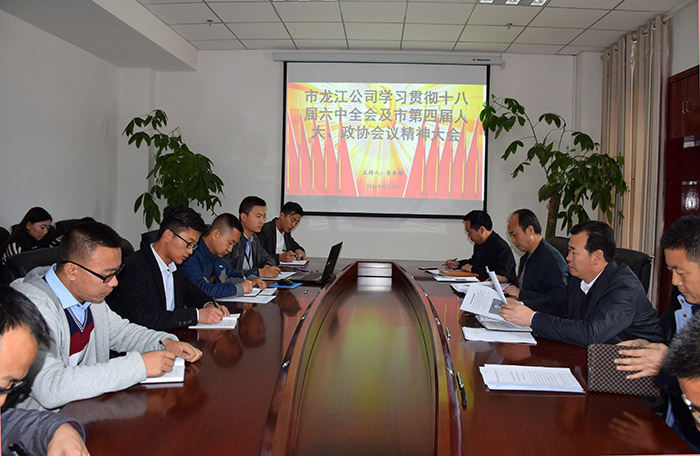 市龍江公司召開全體員工大會，專題傳達學(xué)習(xí)上級會議精神