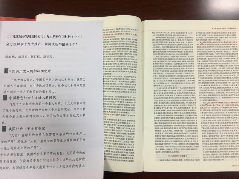市龍江城鄉(xiāng)發(fā)展集團公司召開黨的十九大精神第二次學(xué)習(xí)會議
