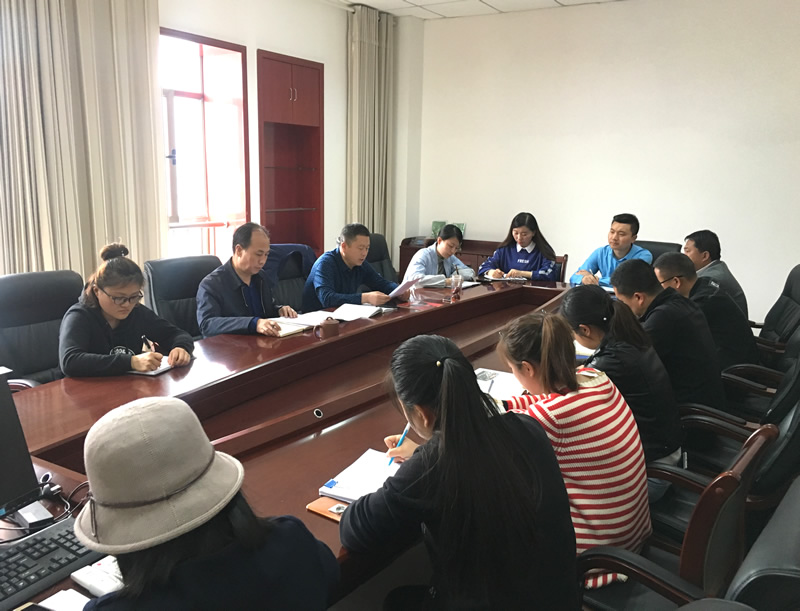 市龍江城鄉(xiāng)發(fā)展集團(tuán)專題學(xué)習(xí)近期中央、省、市紀(jì)律檢查委員會(huì)議精神