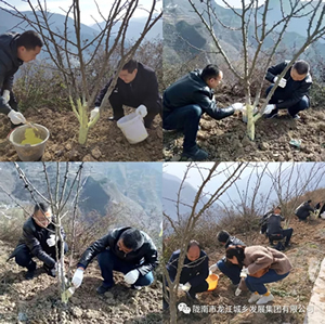 市龍江集團(tuán)在文縣橋頭鎮(zhèn)安子坡村開展“解難題、辦實(shí)事、送溫暖”活動(dòng)