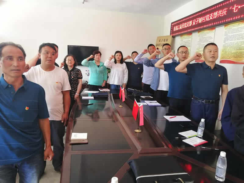 “感黨恩、憶黨史”，--市龍江城鄉(xiāng)發(fā)展集團公司開展慶祝建黨99周年主題黨日活動